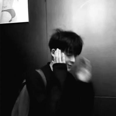 兽设萌系风格设计福瑞群